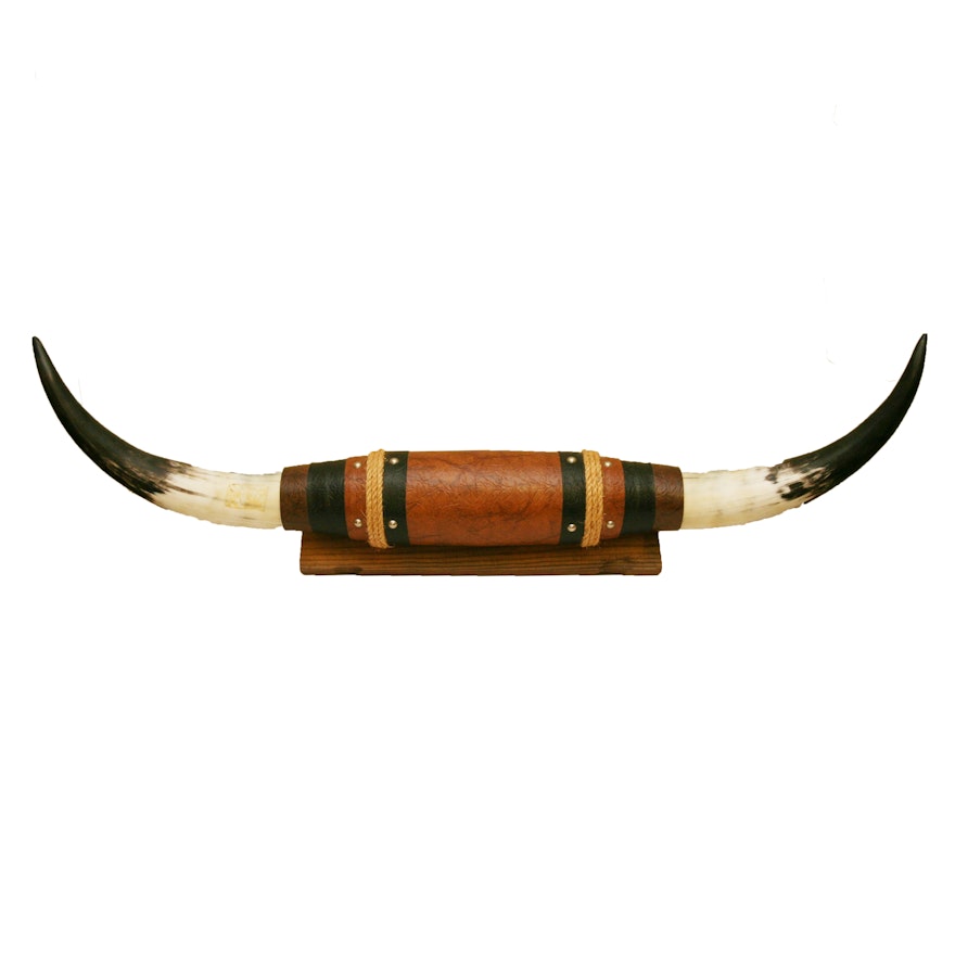 Mounted Bull Horns