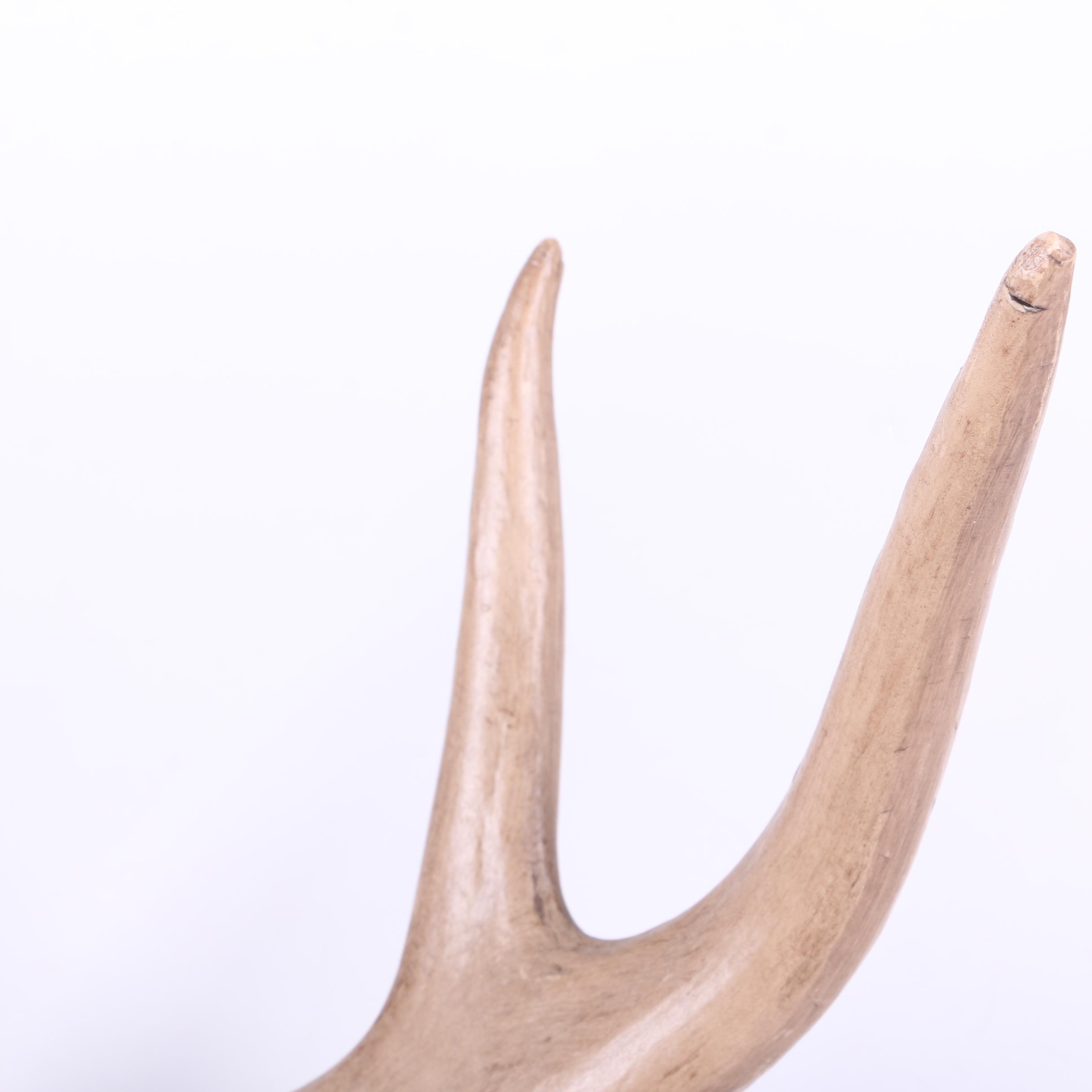 Ceramic Deer Antlers