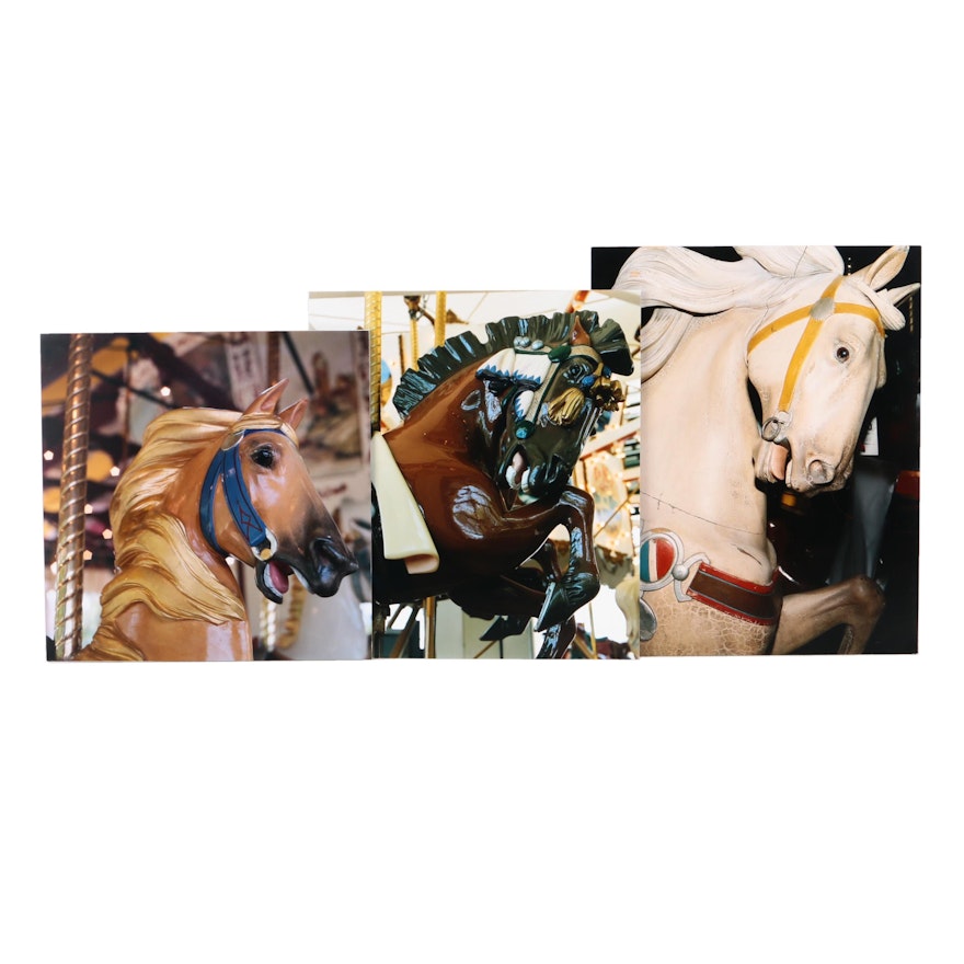 Color Photographs of Carousel Horses