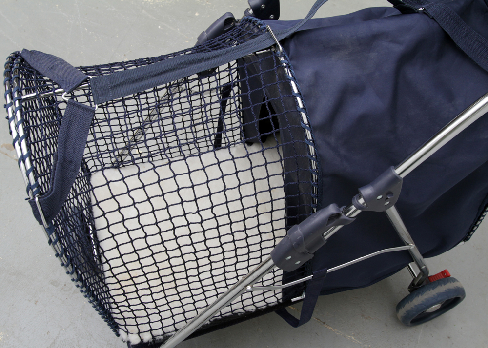 Kittywalk Systems Carrier/Pet Stroller