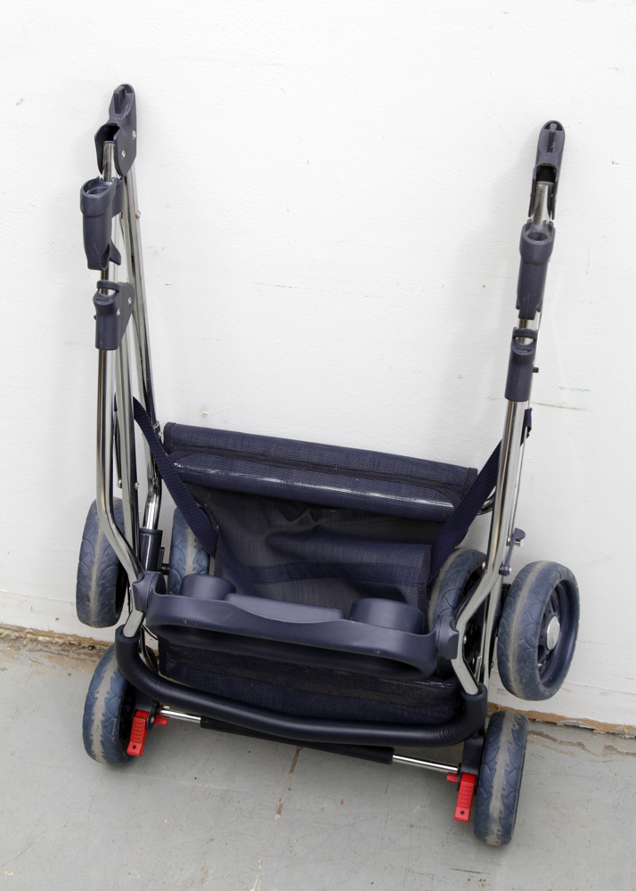 Kittywalk Systems Carrier/Pet Stroller