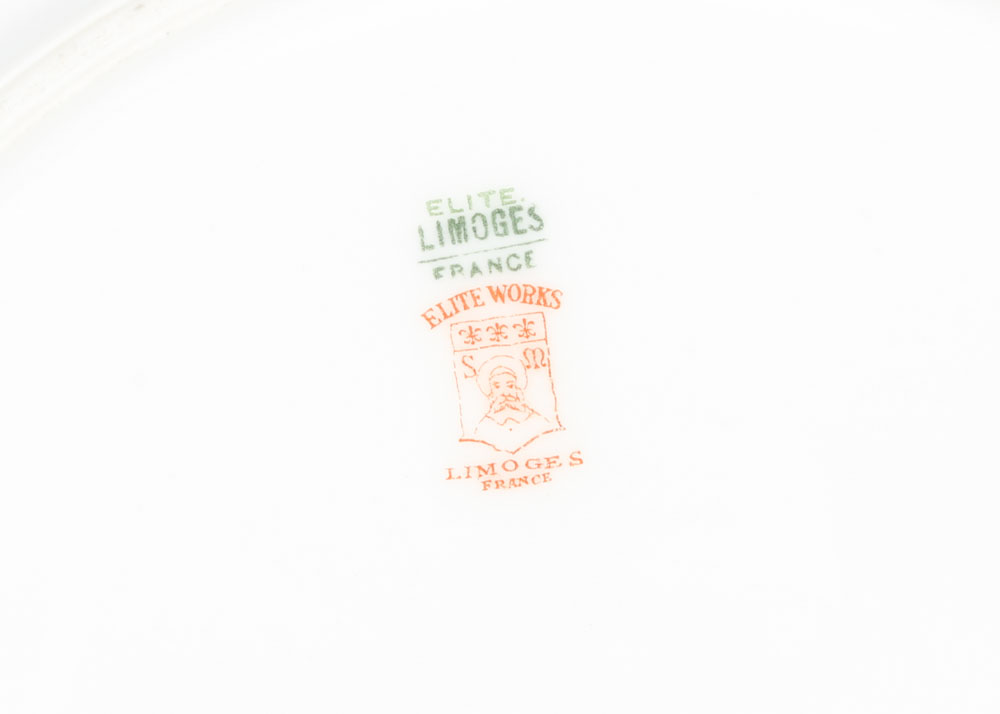 Elite Works Limoges Porcelain Dinnerware