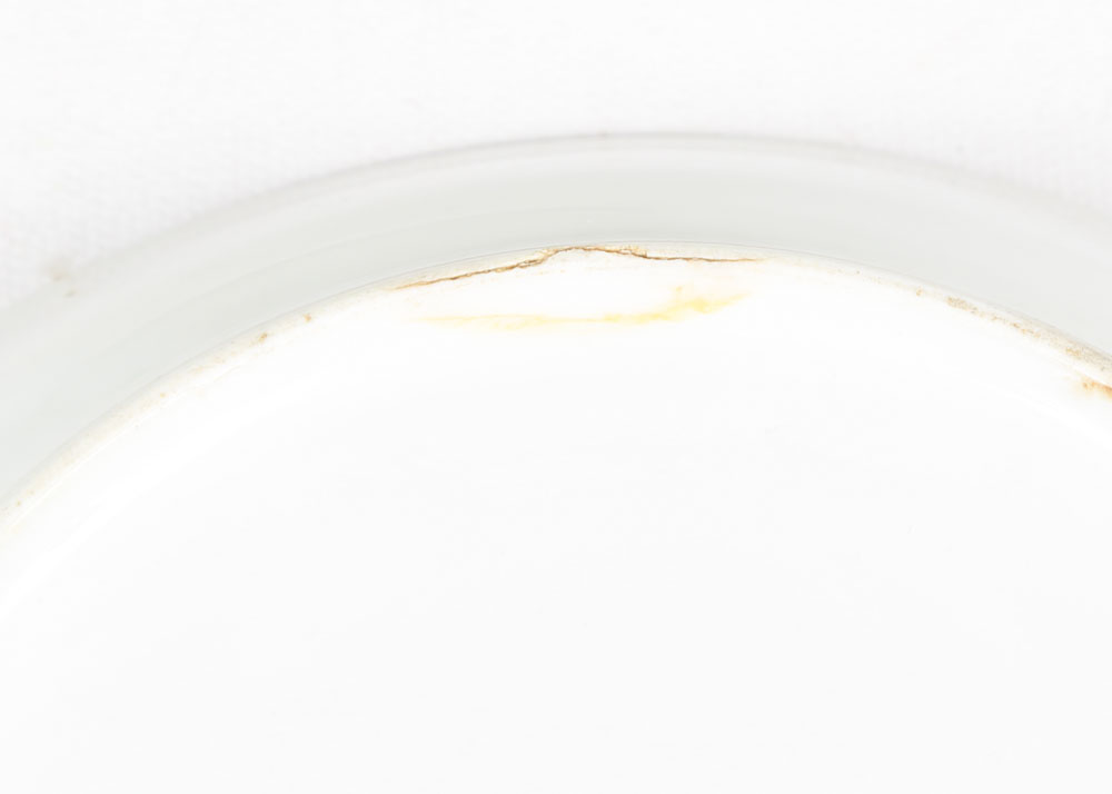 Elite Works Limoges Porcelain Dinnerware