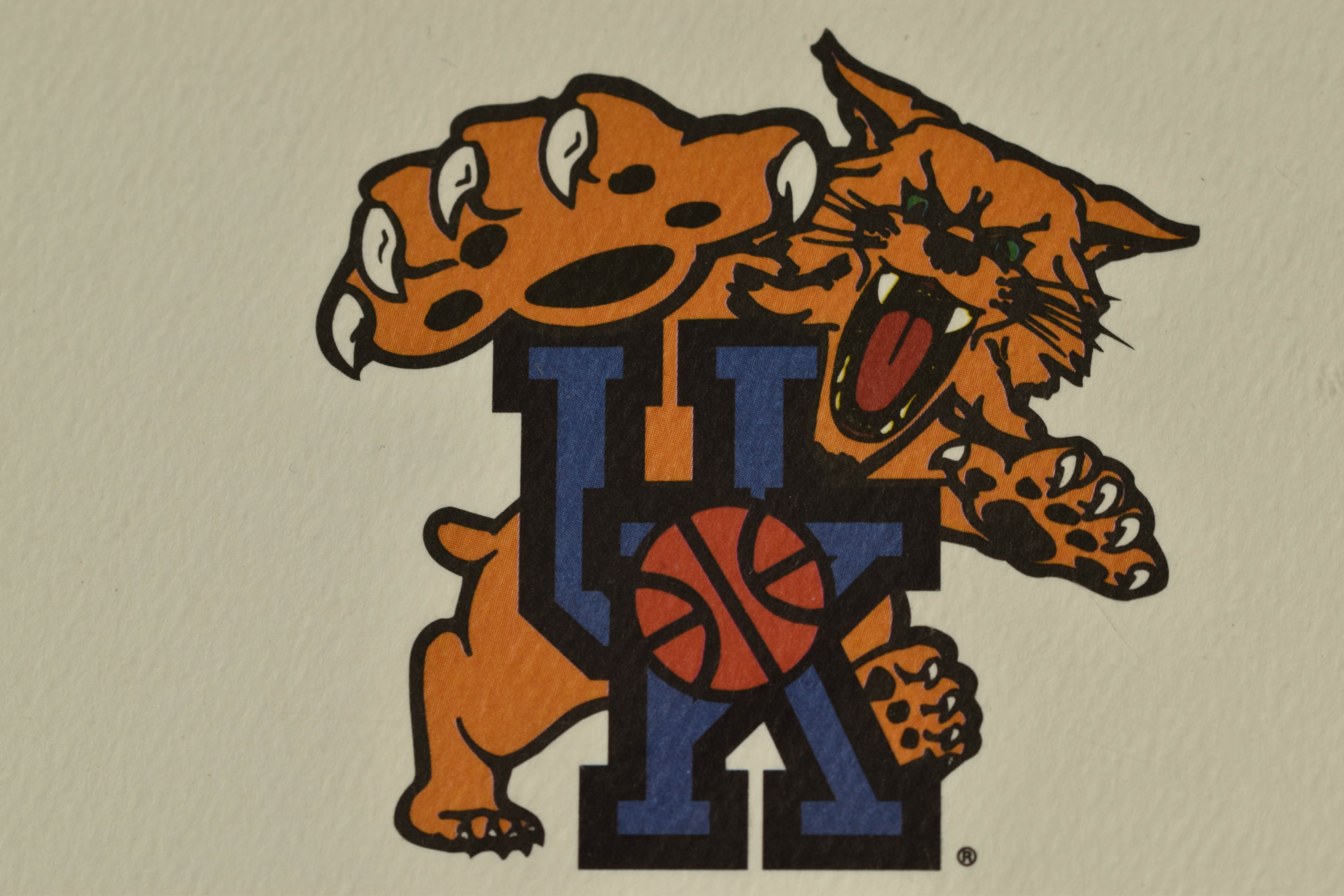 Warner Bros. L.E. UK Basketball Lithoserigraph- Slam Dunk