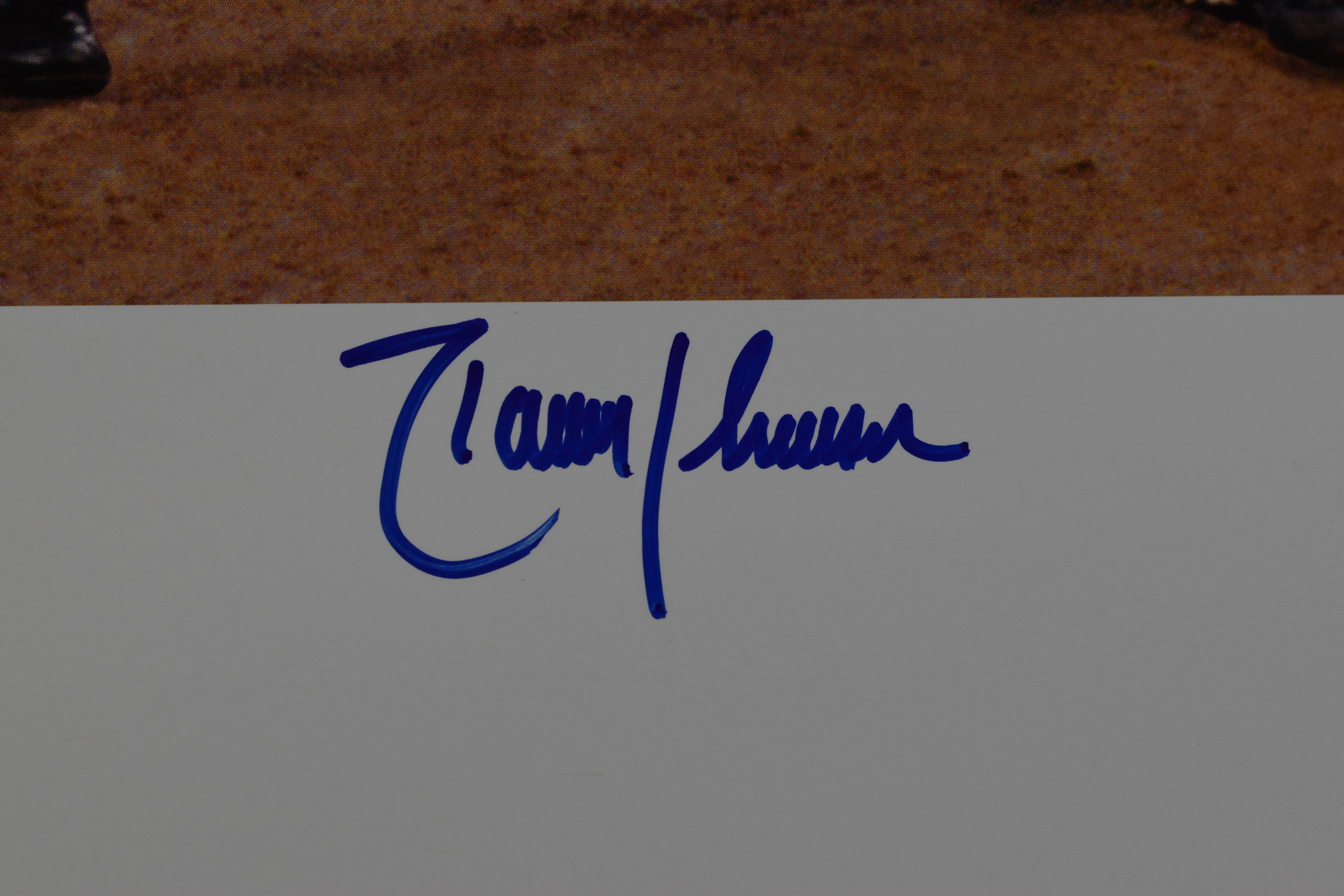 Warner Bros. L.E. Lithograph signed by Diamondbacks Pitcher Randy Johnson