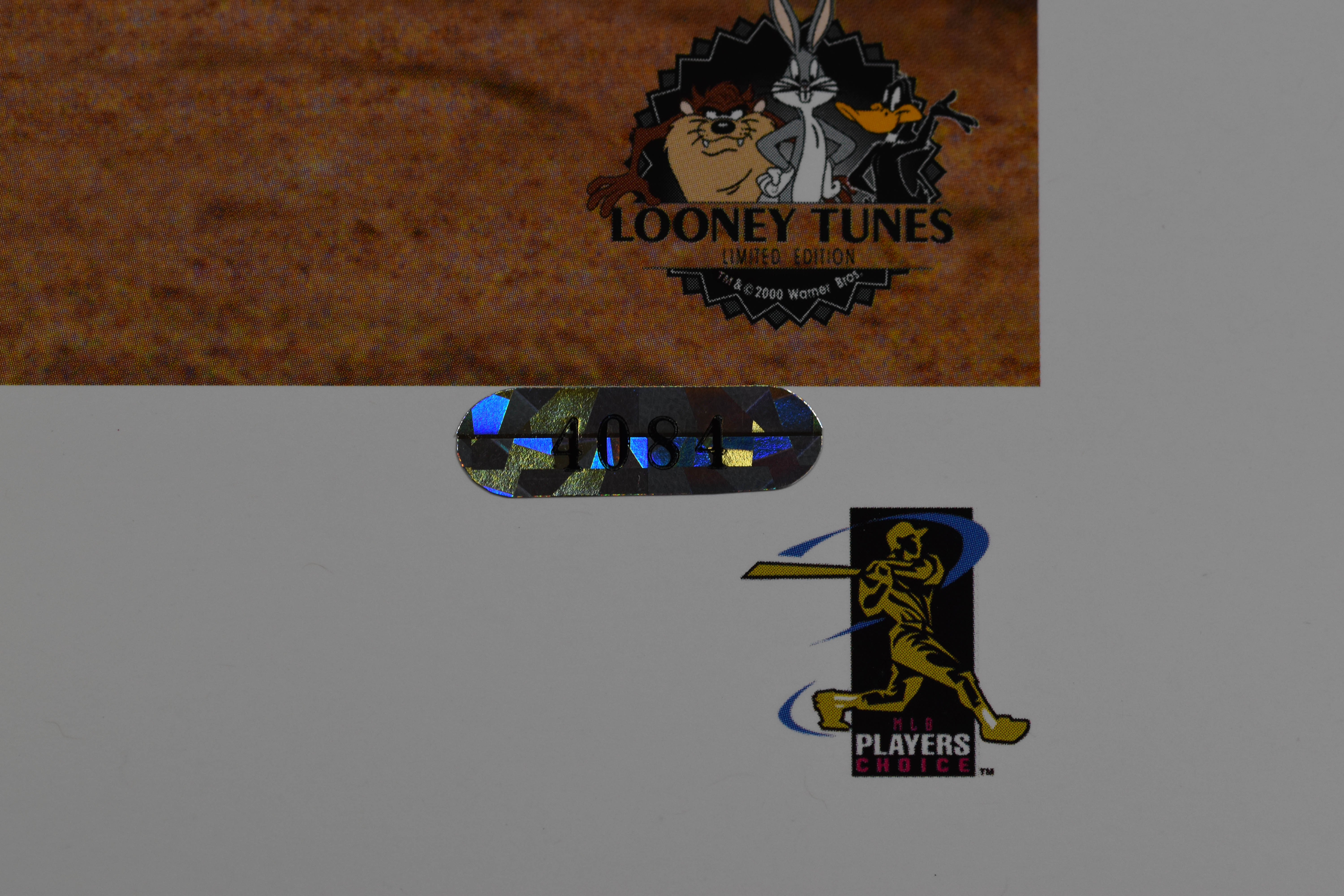 Warner Bros. L.E. Lithograph signed by Diamondbacks Pitcher Randy Johnson