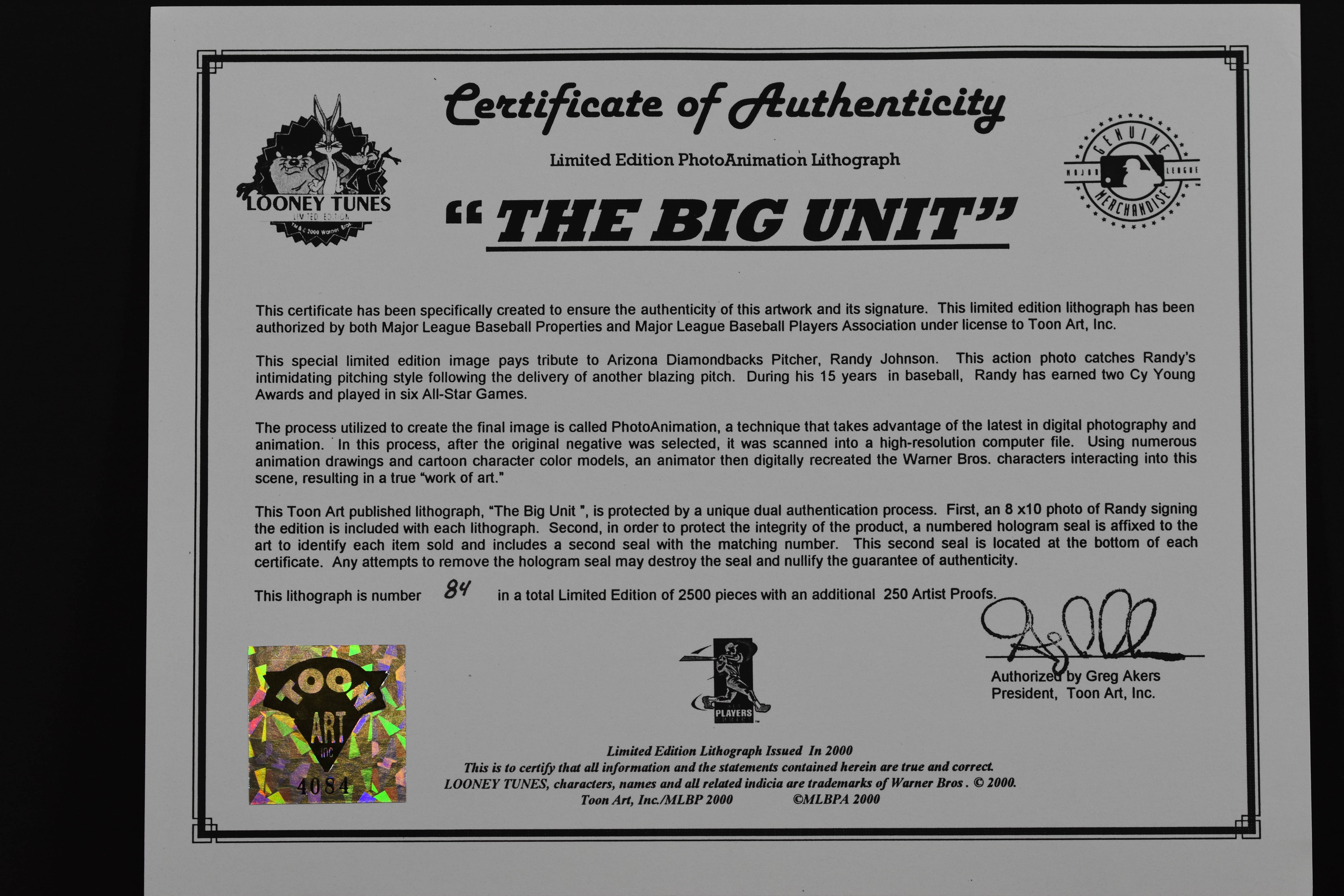 Warner Bros. L.E. Lithograph signed by Diamondbacks Pitcher Randy Johnson