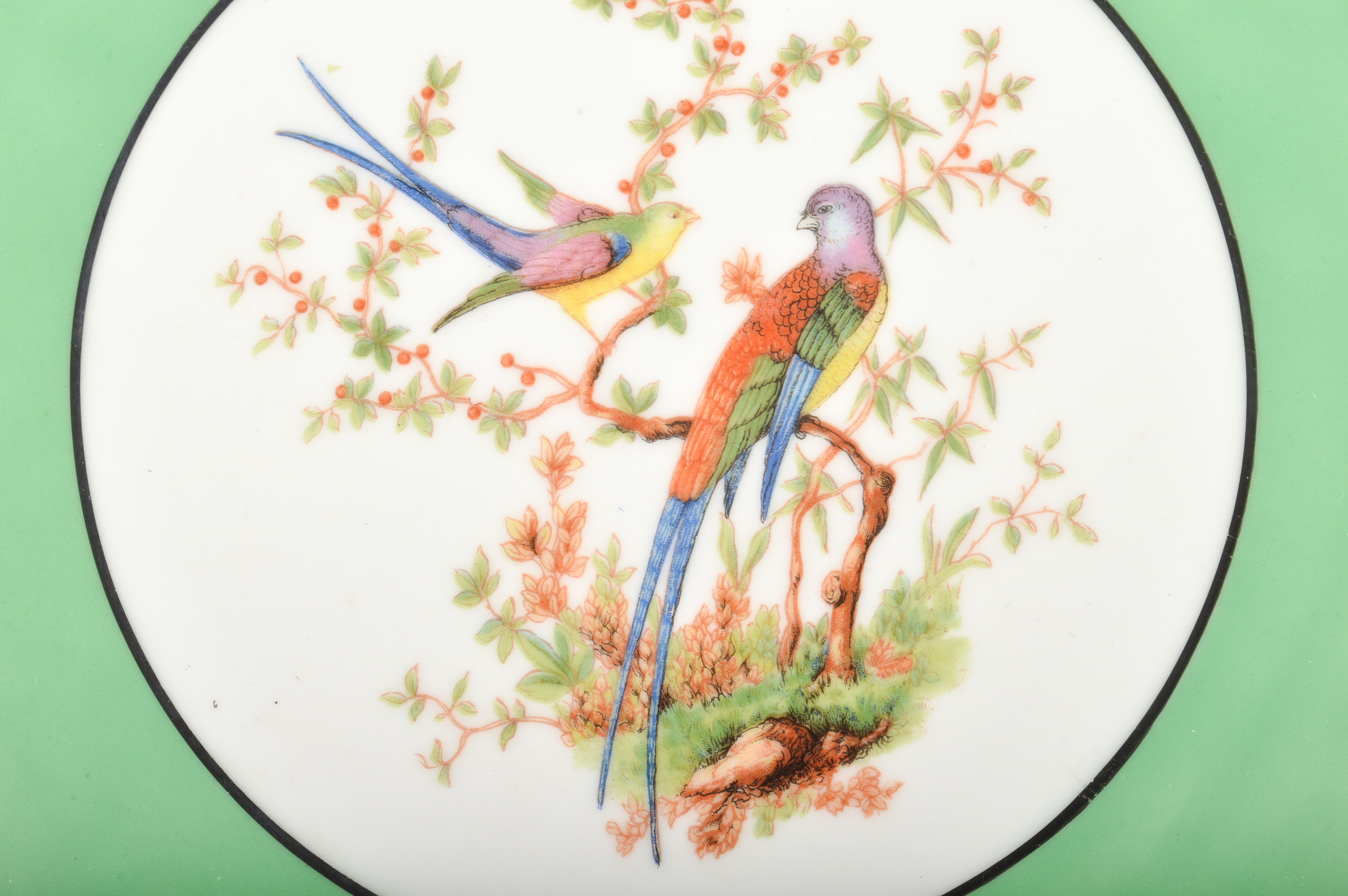 Vintage Floral China and Porcelain Plate Collection including Royal Worcester