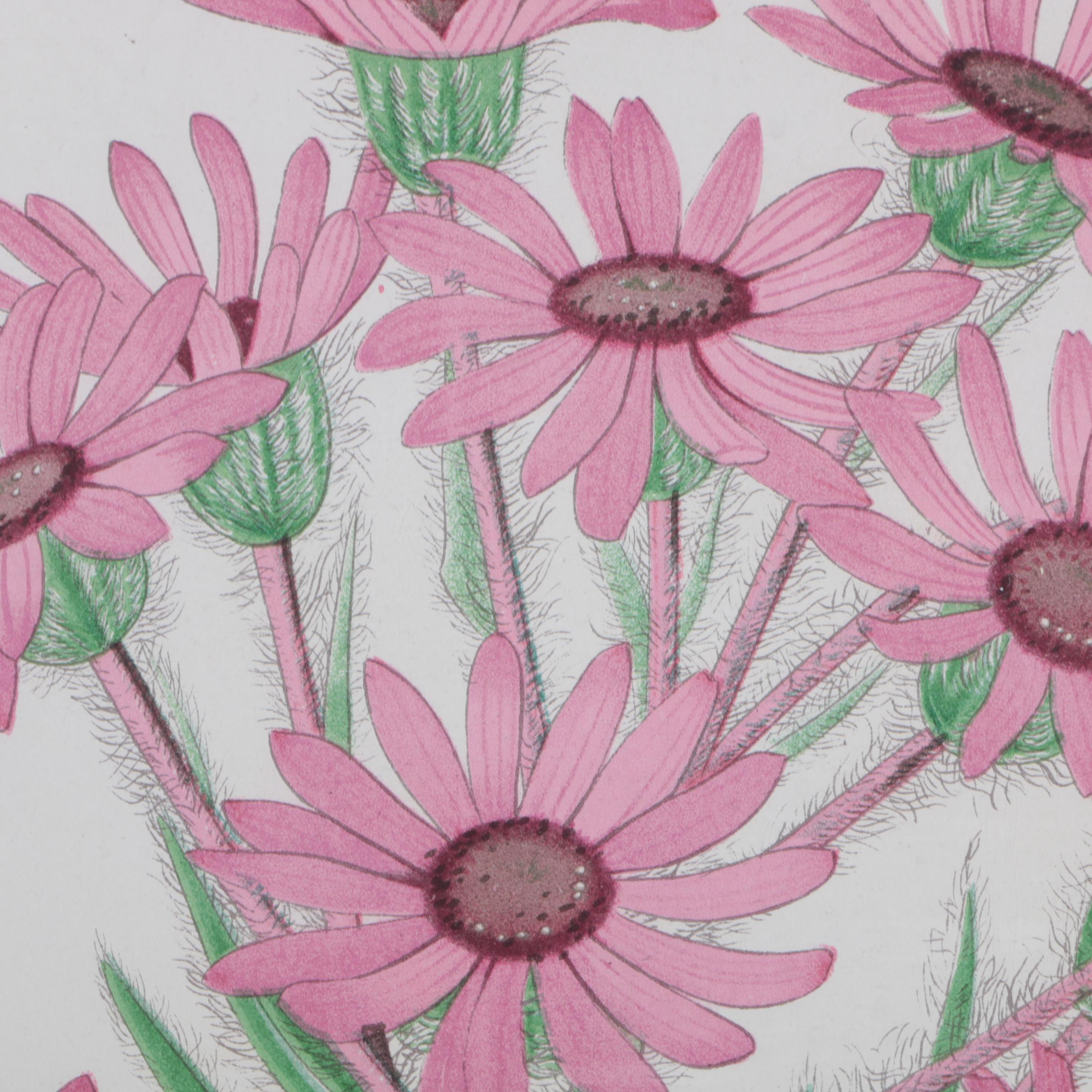 Hand-Colored Lithographs of Botanical Subjects From "Paxton's Flower Garden"