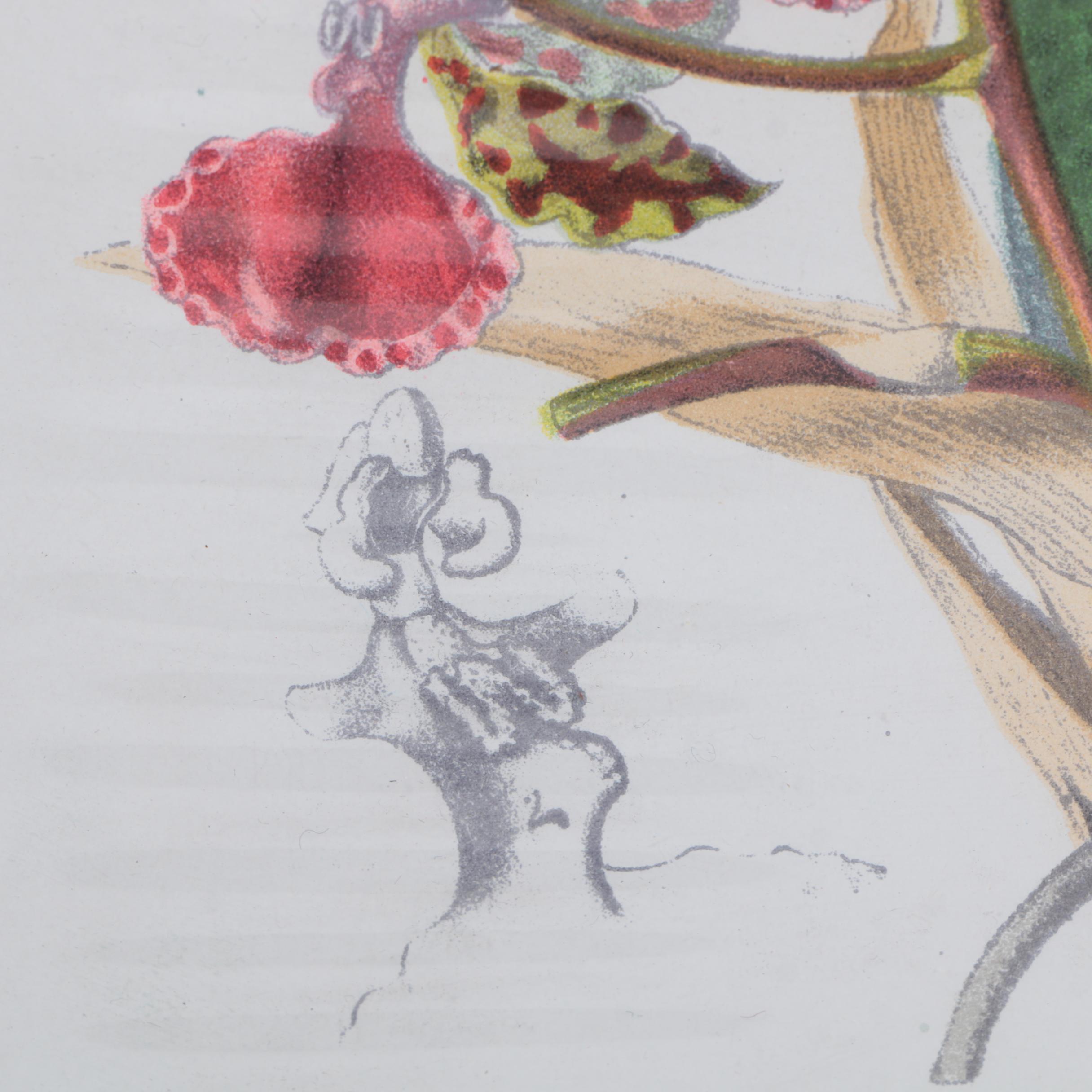 Hand-Colored Lithographs of Botanical Subjects From "Paxton's Flower Garden"