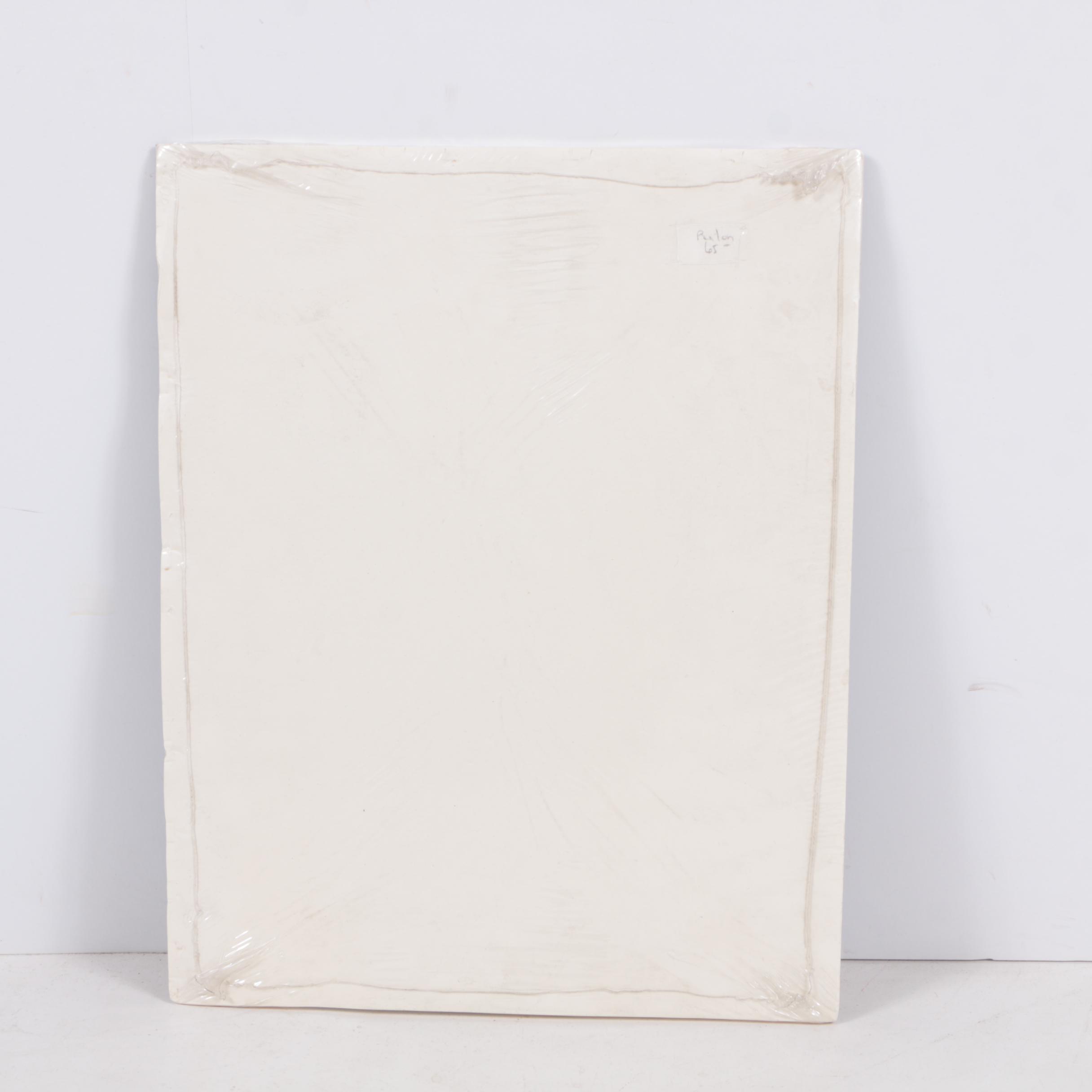 Hand-Colored Lithographs of Botanical Subjects From "Paxton's Flower Garden"