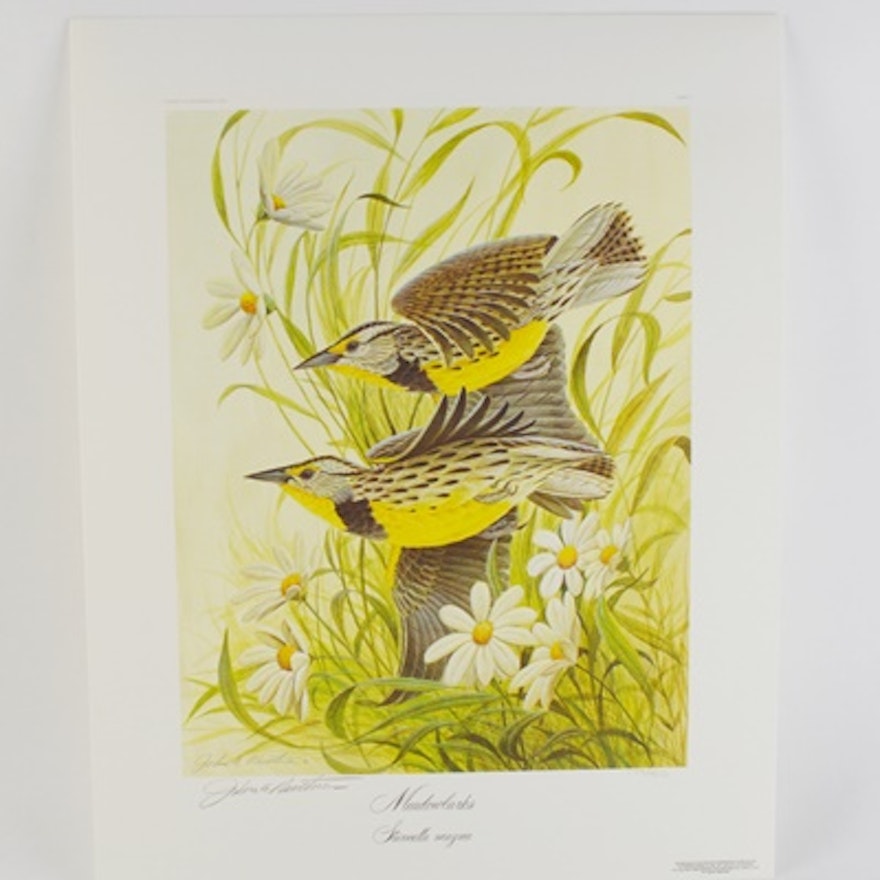 John Ruthven Limited Edition Offset Lithograph "Meadowlarks"