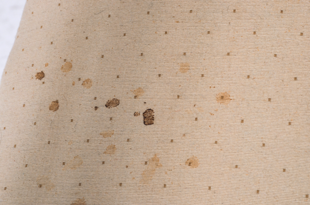 Antique Eastlake Style Arm Chair