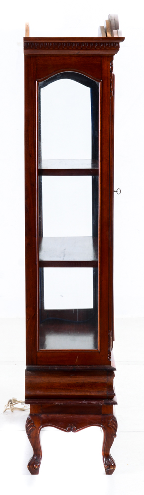 Antique Glass Display Case