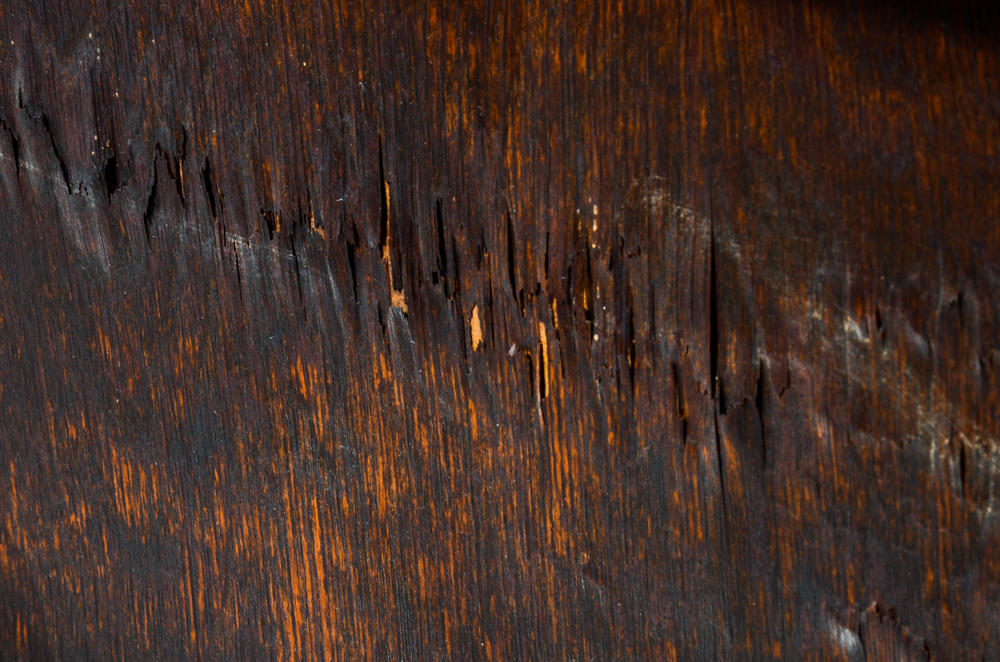 Antique Oak Roll Top Desk