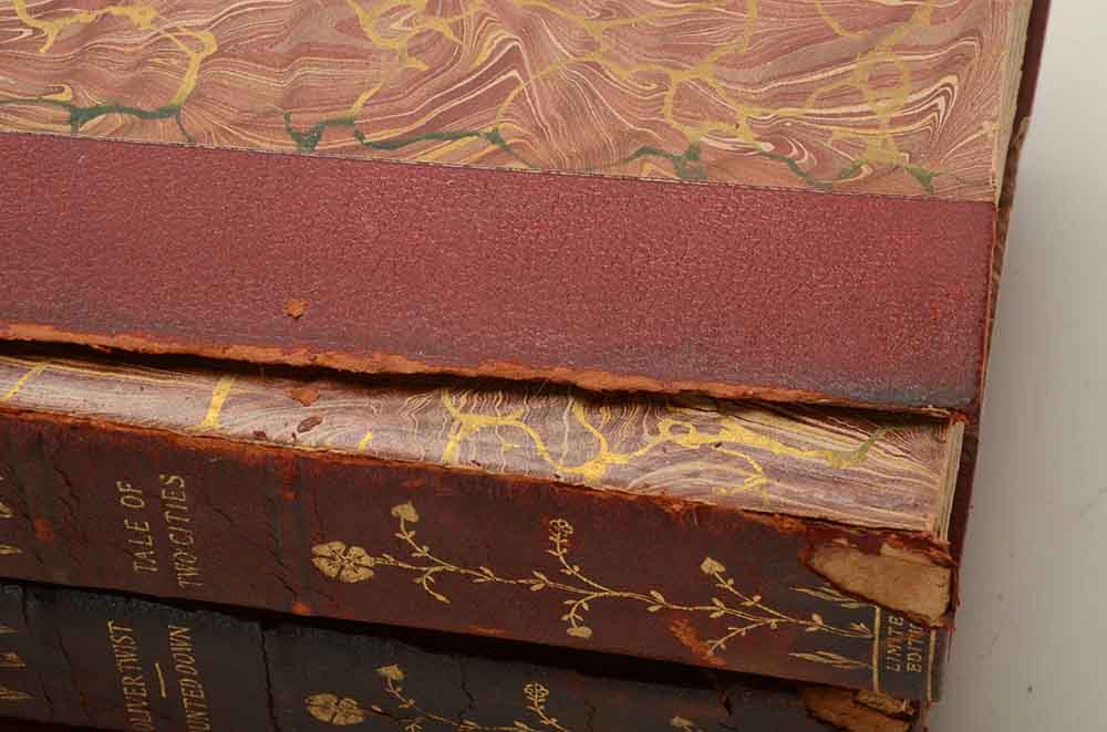 1899 Works of Charles Dickens Twenty-Eight Volume Set