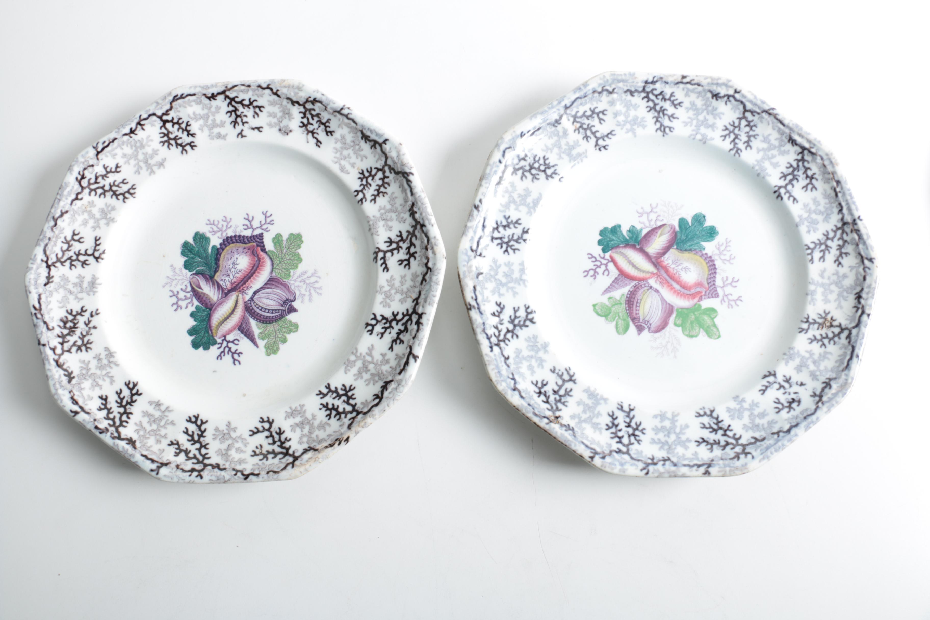 Floral Ceramic Plates Featuring Royal Staffordshire "Charolette"