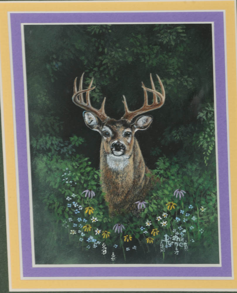 Assortment of Paintings of Forest Animals