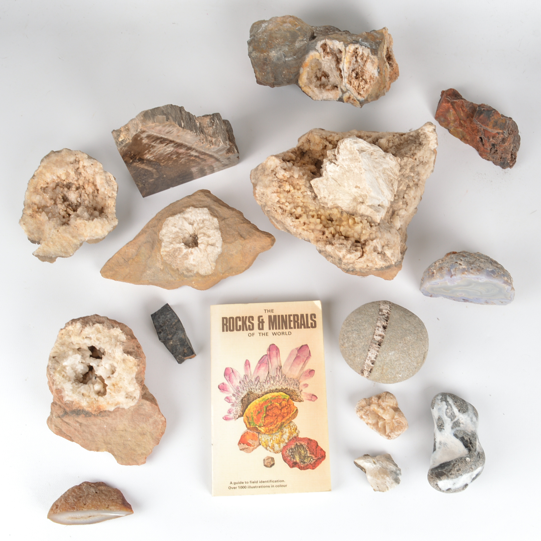 Assortment of Fossil and Mineral Specimens With Vintage Book