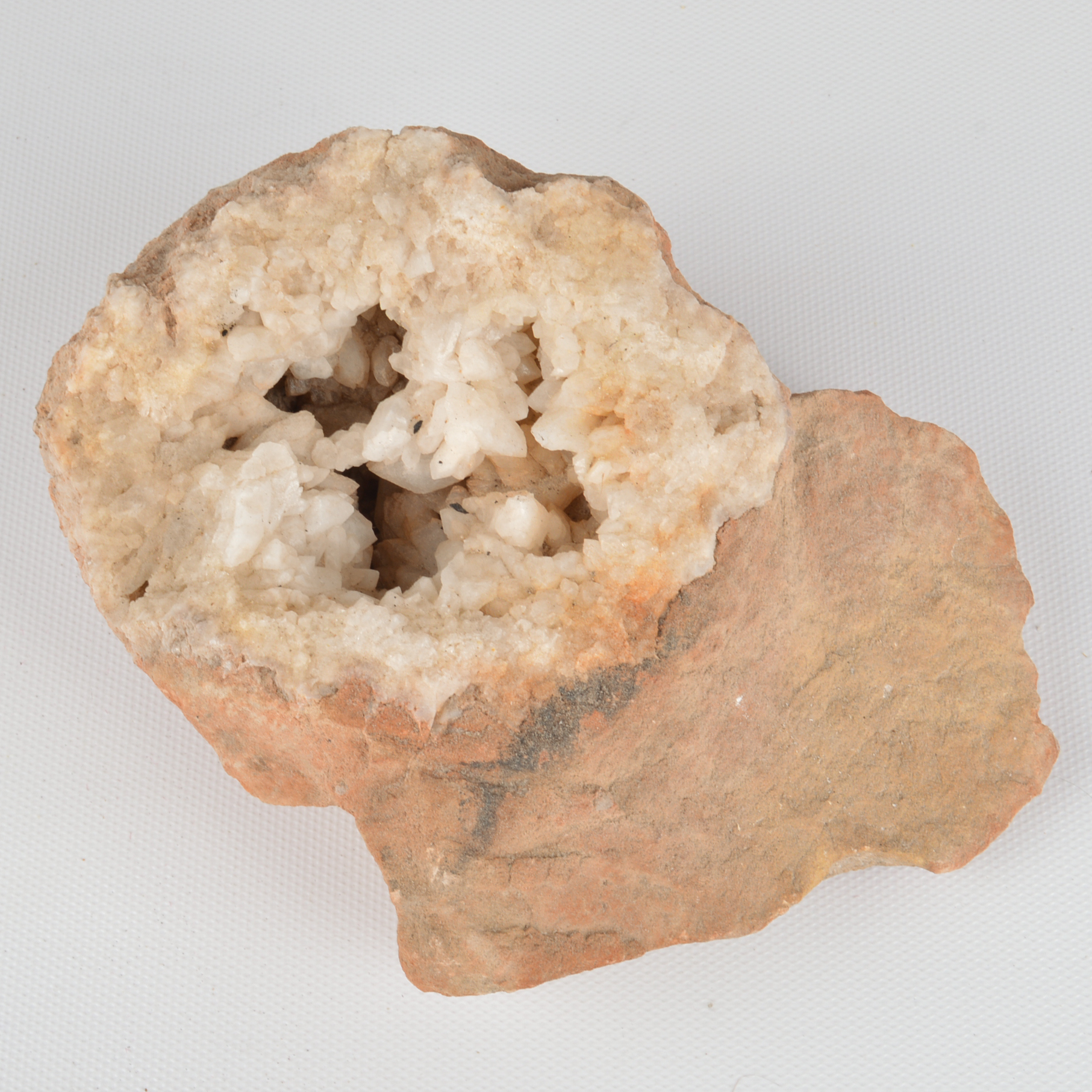 Assortment of Fossil and Mineral Specimens With Vintage Book