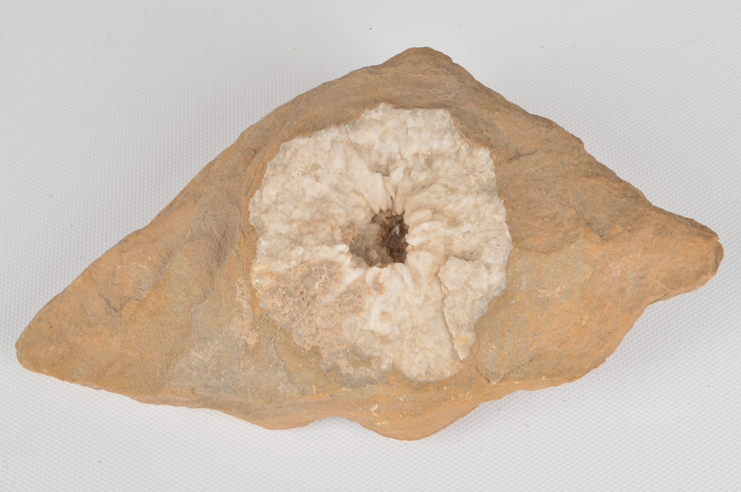 Assortment of Fossil and Mineral Specimens With Vintage Book