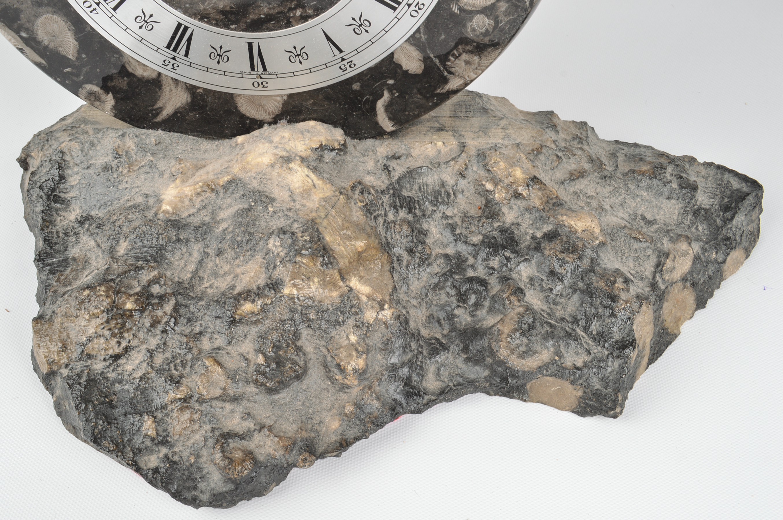 Frosterley Marble Company Fossilized Marble Mantel Clock