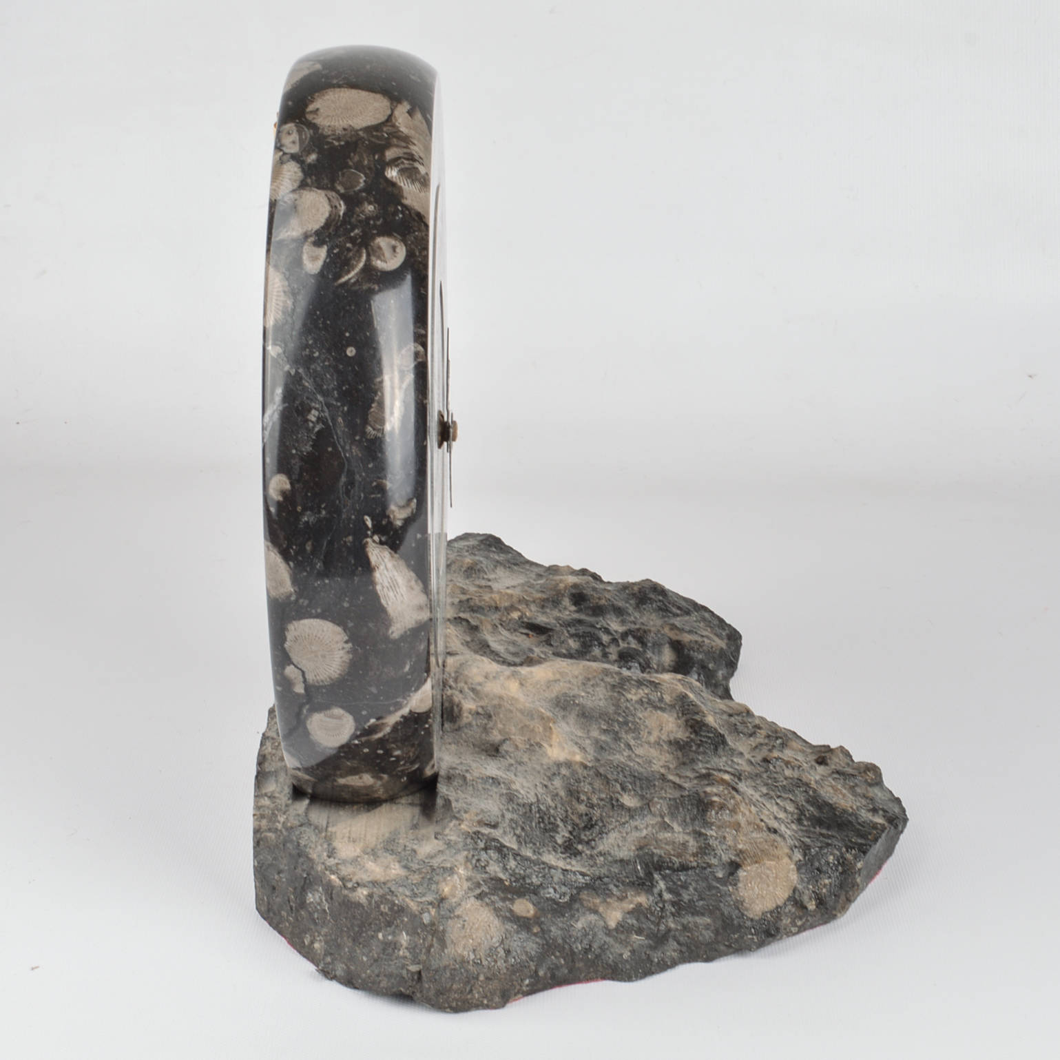 Frosterley Marble Company Fossilized Marble Mantel Clock