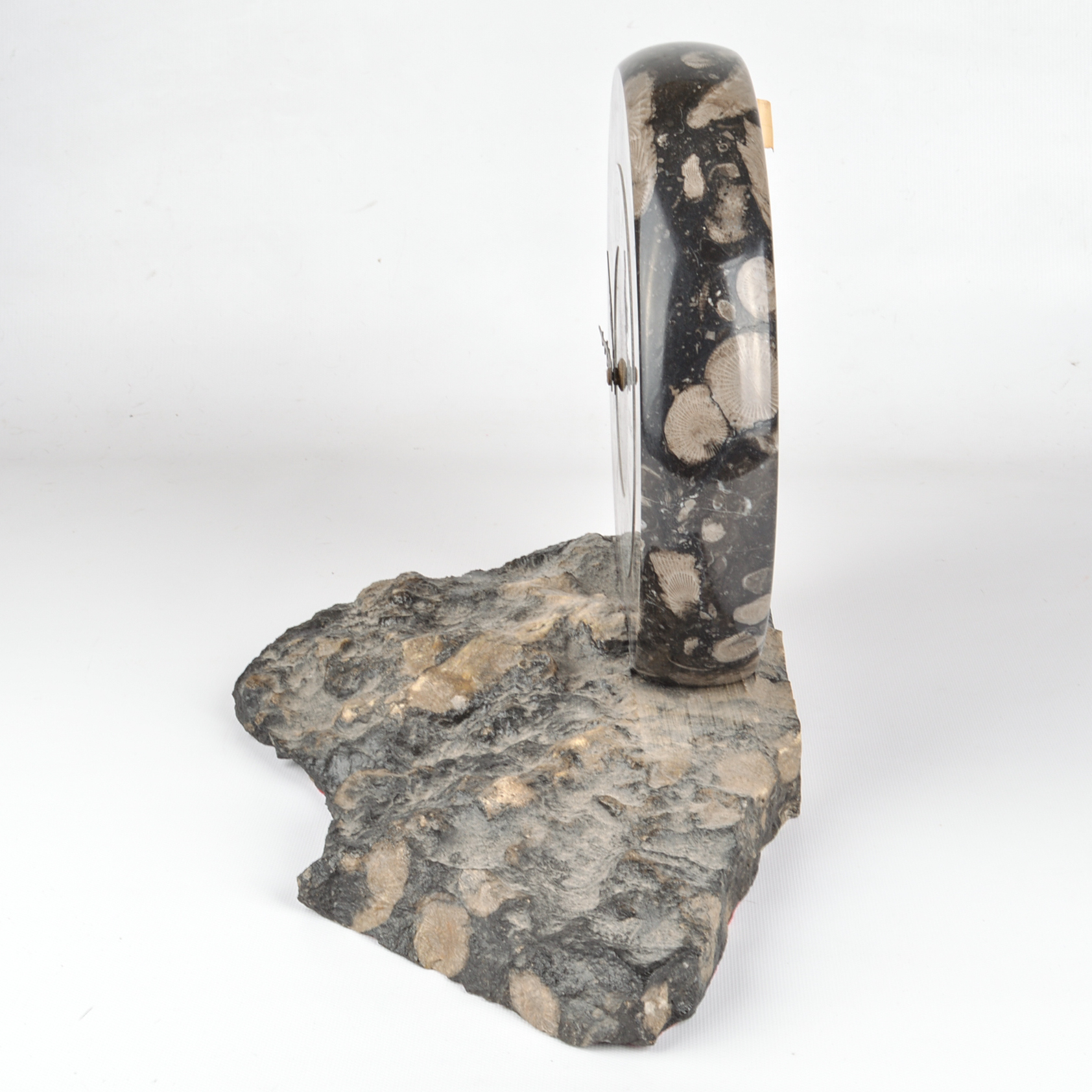 Frosterley Marble Company Fossilized Marble Mantel Clock