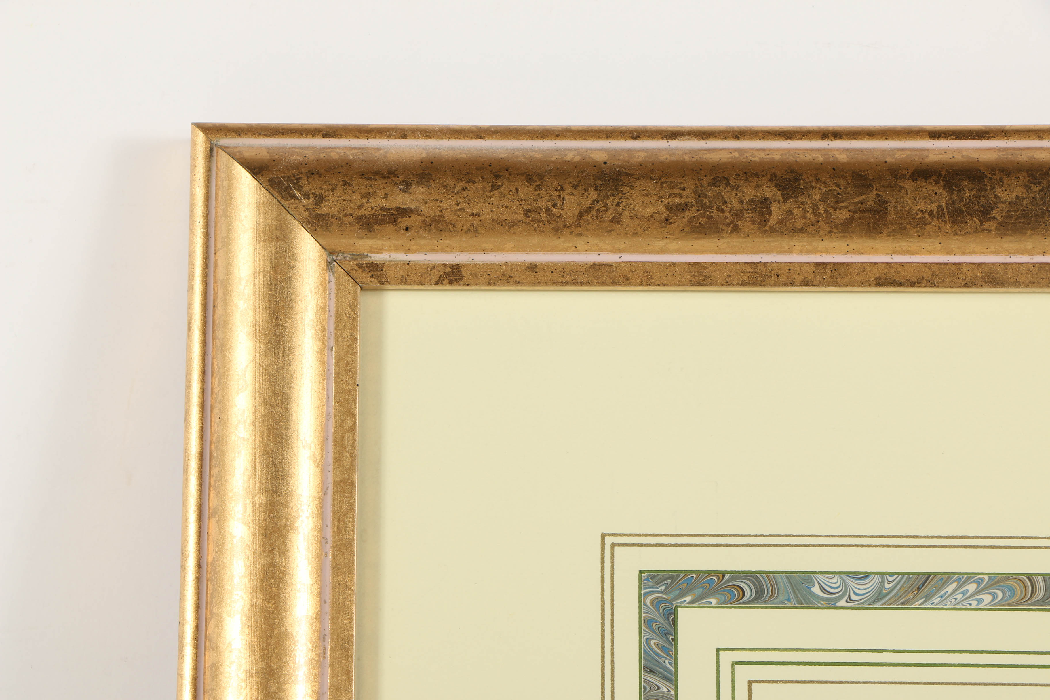 Offset Lithograph After J. Gould and H.C. Richer "Petasophora Iolata"