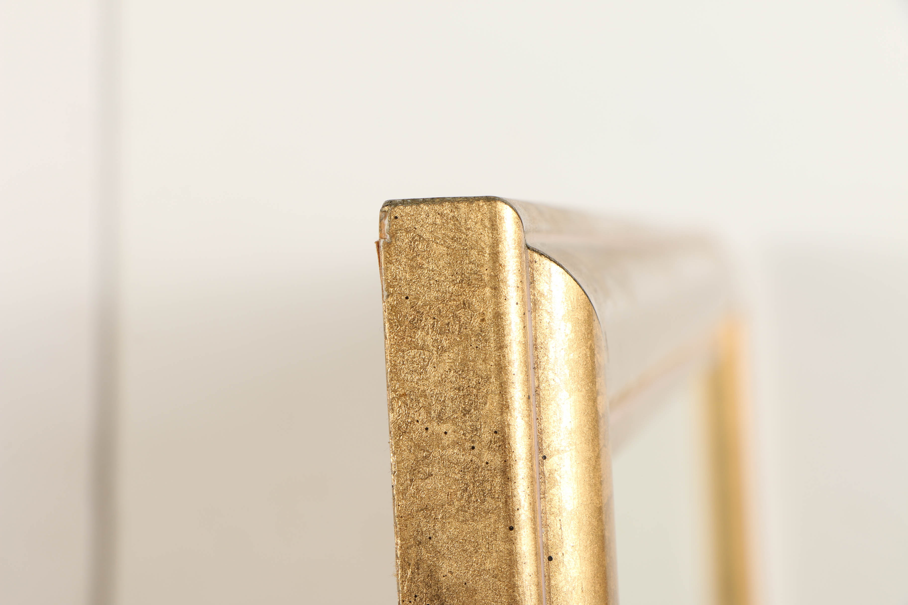 Offset Lithograph After J. Gould and H.C. Richer "Petasophora Iolata"