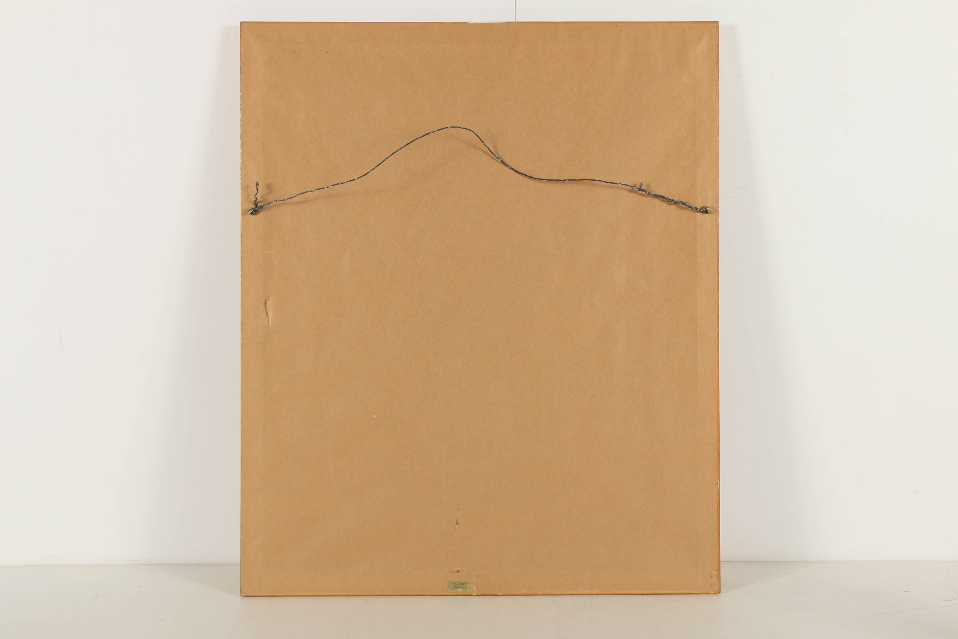 Offset Lithograph After J. Gould and H.C. Richer "Petasophora Iolata"