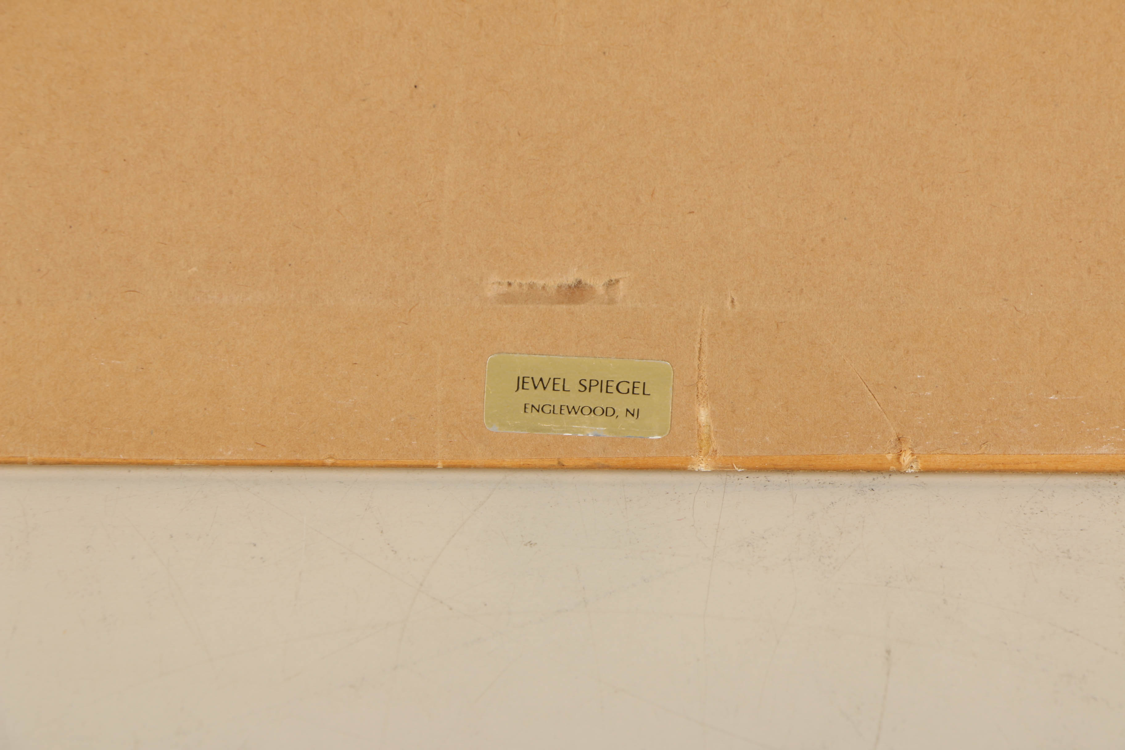 Offset Lithograph After J. Gould and H.C. Richer "Petasophora Iolata"