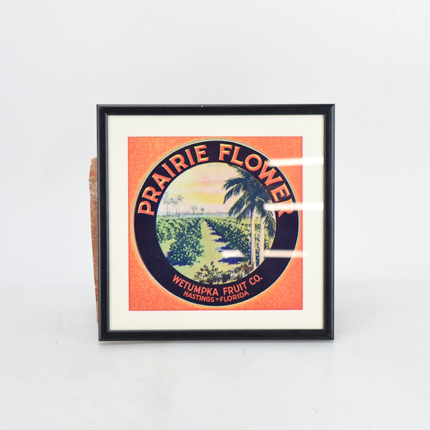Framed Original Florida Fruit Crate Labels