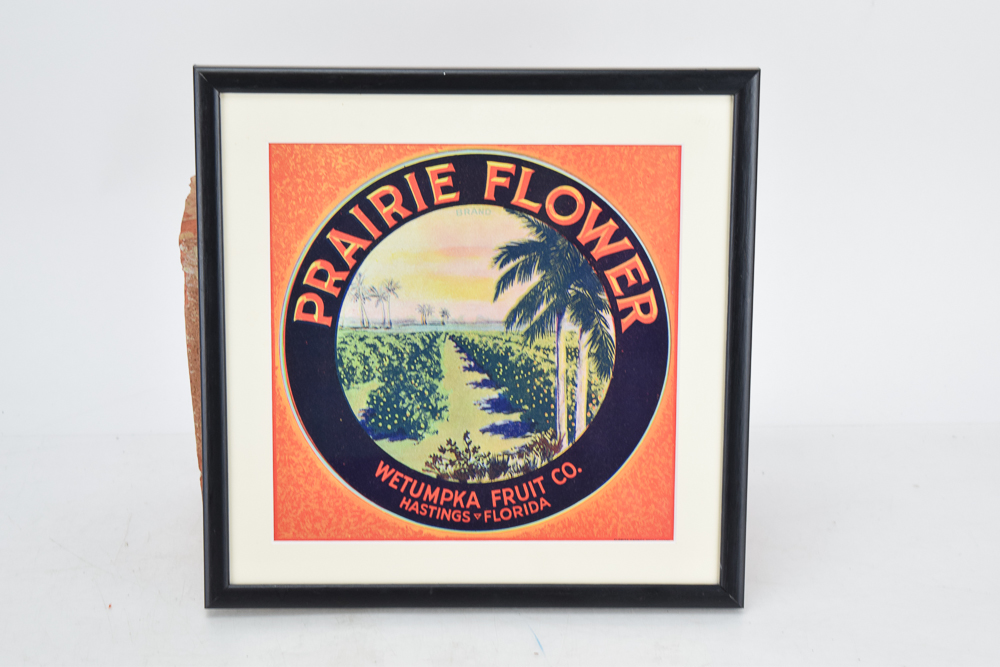 Framed Original Florida Fruit Crate Labels