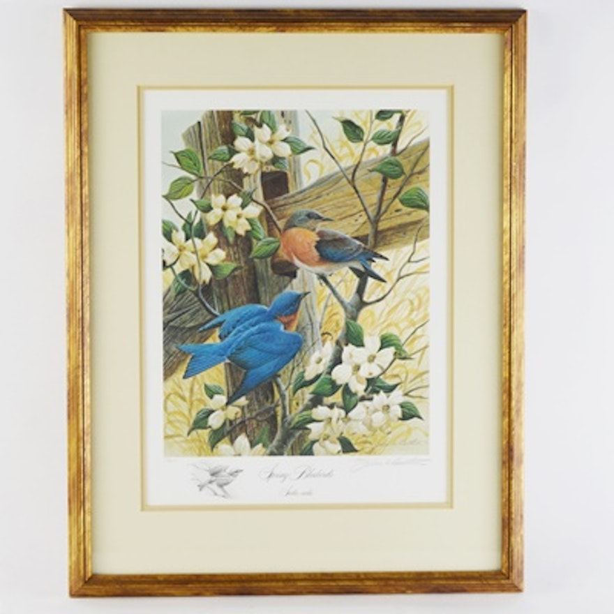 John Ruthven Limited Edition Offset Lithograph "Spring Bluebirds" With Remarque