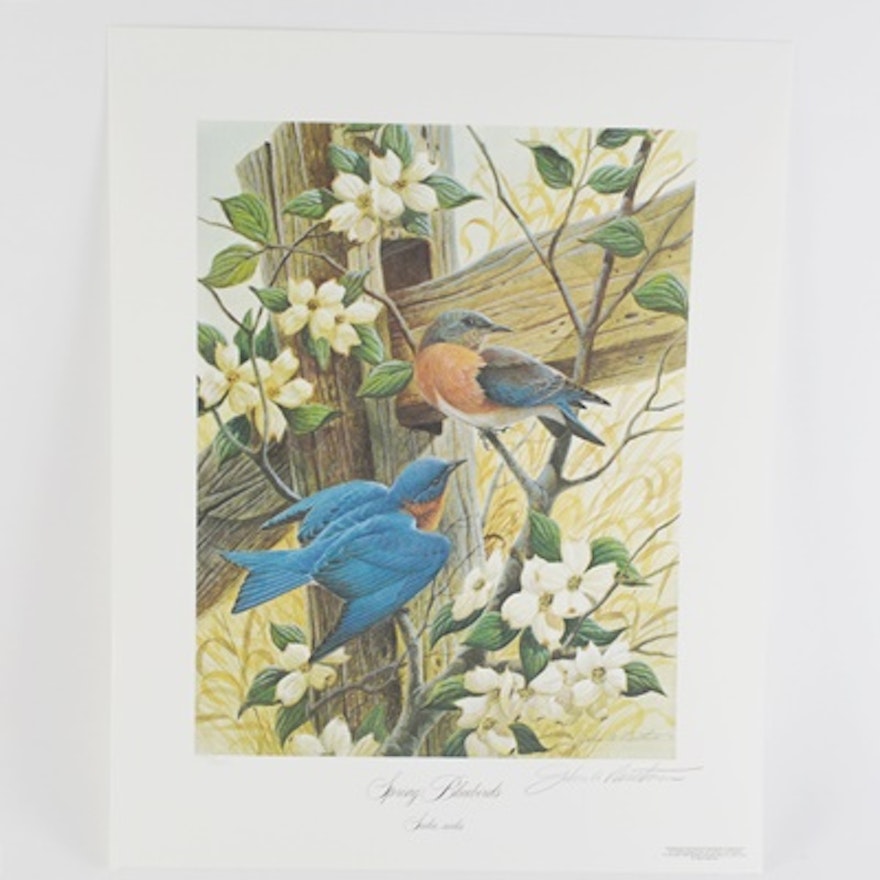 John Ruthven Limited Edition Offset Lithograph "Spring Bluebirds"