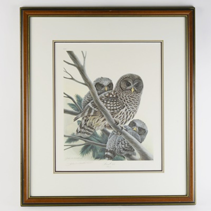 John Ruthven Limited Edition Offset Lithograph "Barred Owl"