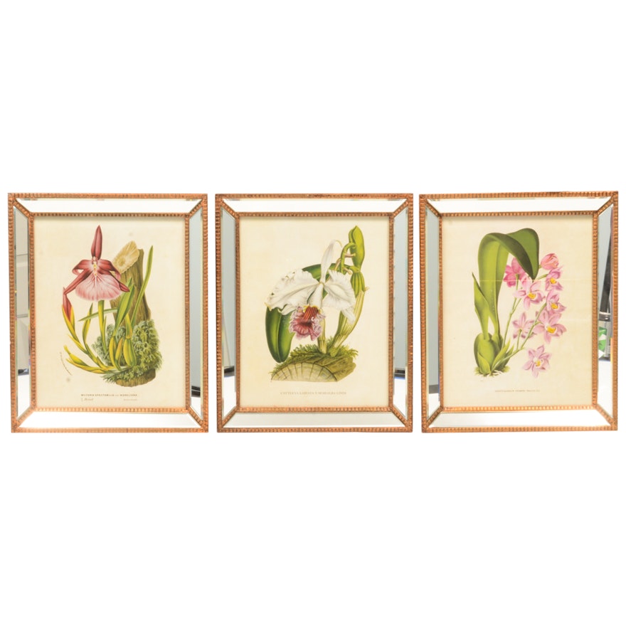 Botanical Offset Lithographs