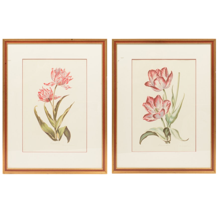 Offset Lithograph Botanical Prints