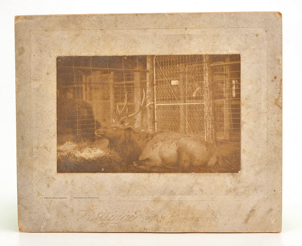 1888 Morgan House Inn Hotel Register