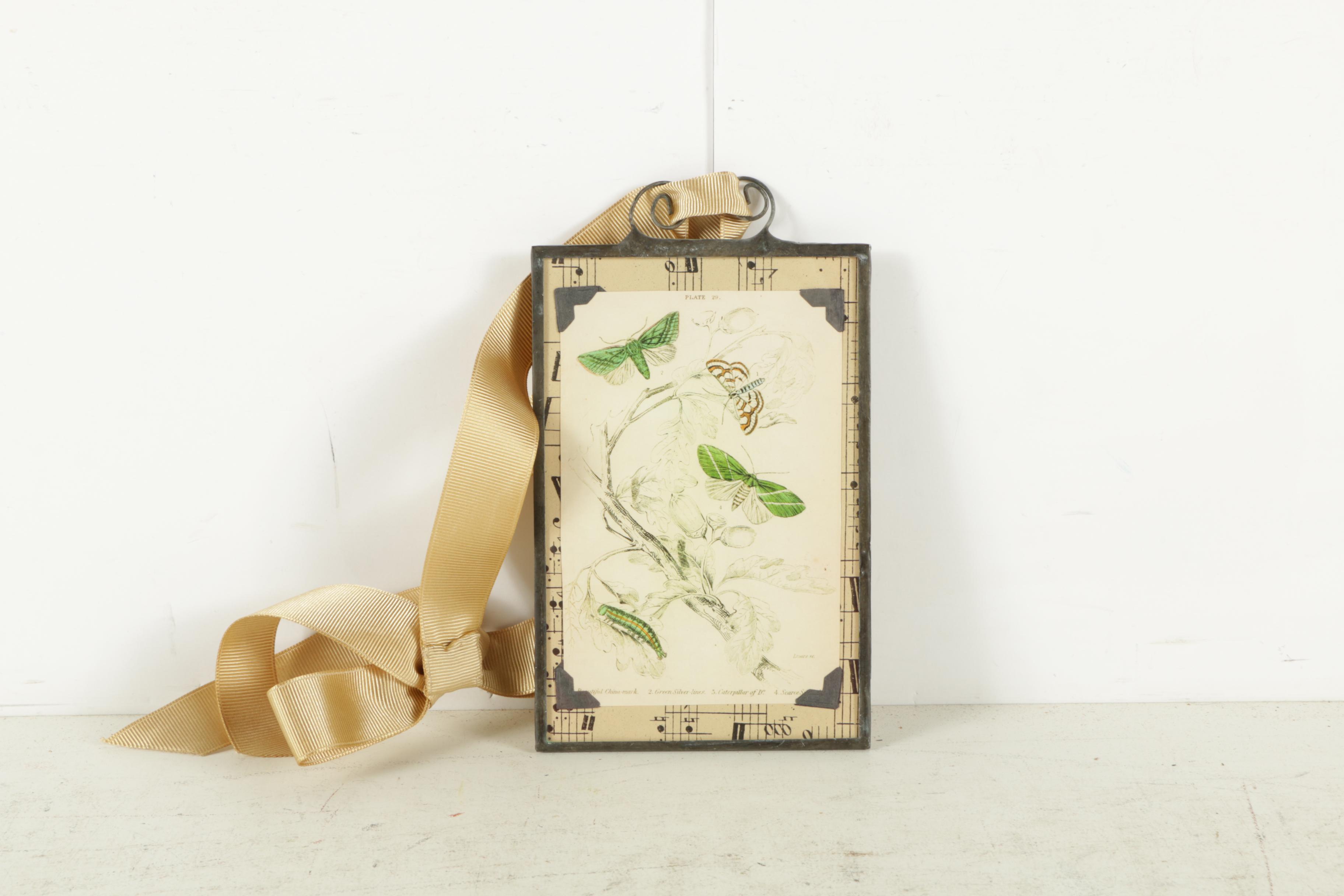 Flower and Moth Prints on Paper and John Derian Plate