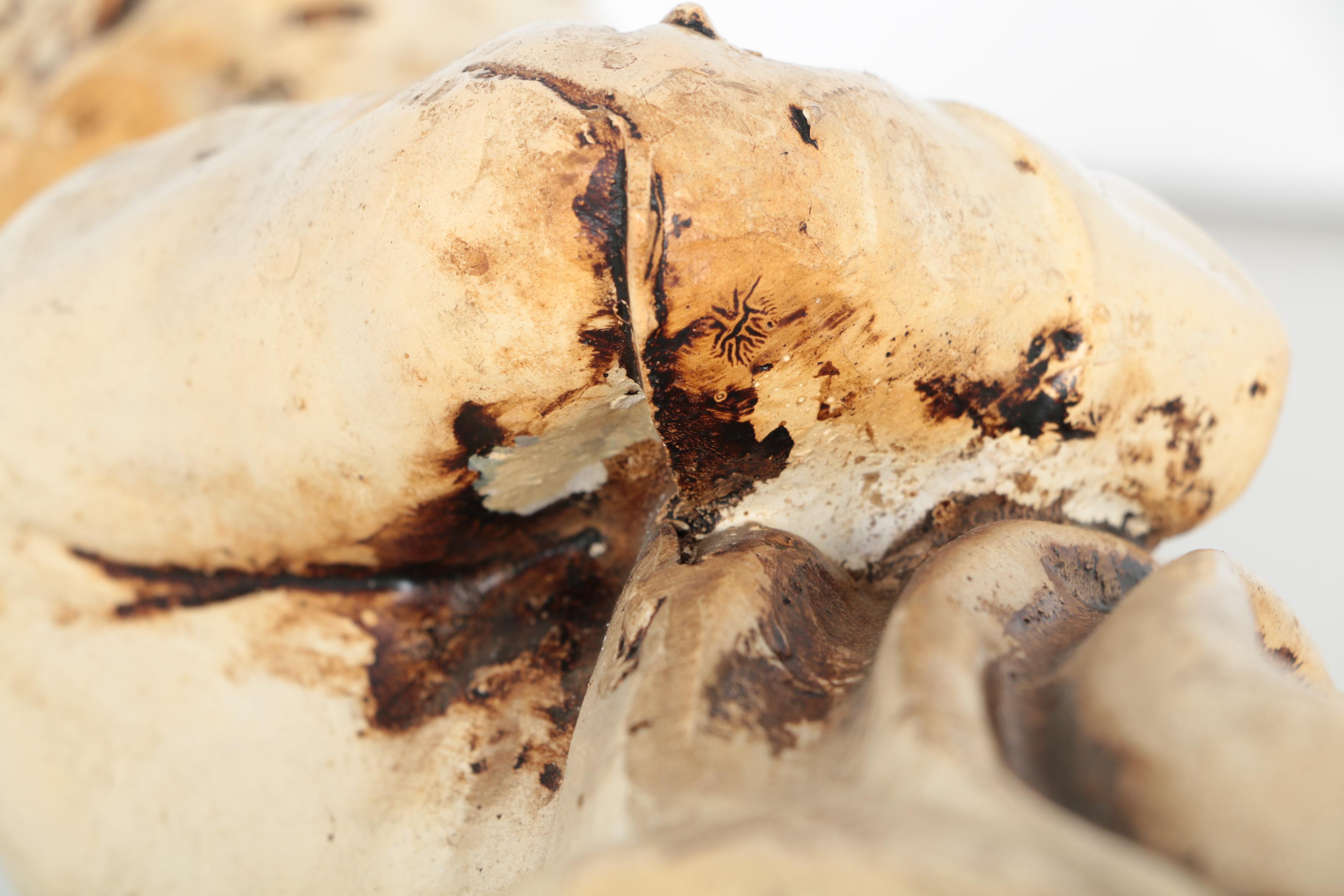 Beethoven Figural Table Lamp