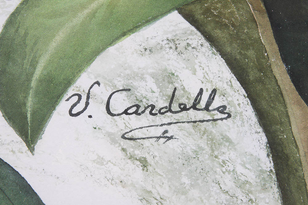 V. Cardello Original Watercolor Painting