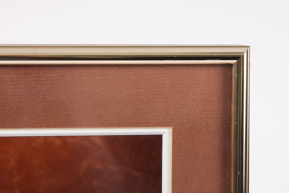 Dr. David Shander Color Photograph "Masked Boobies"