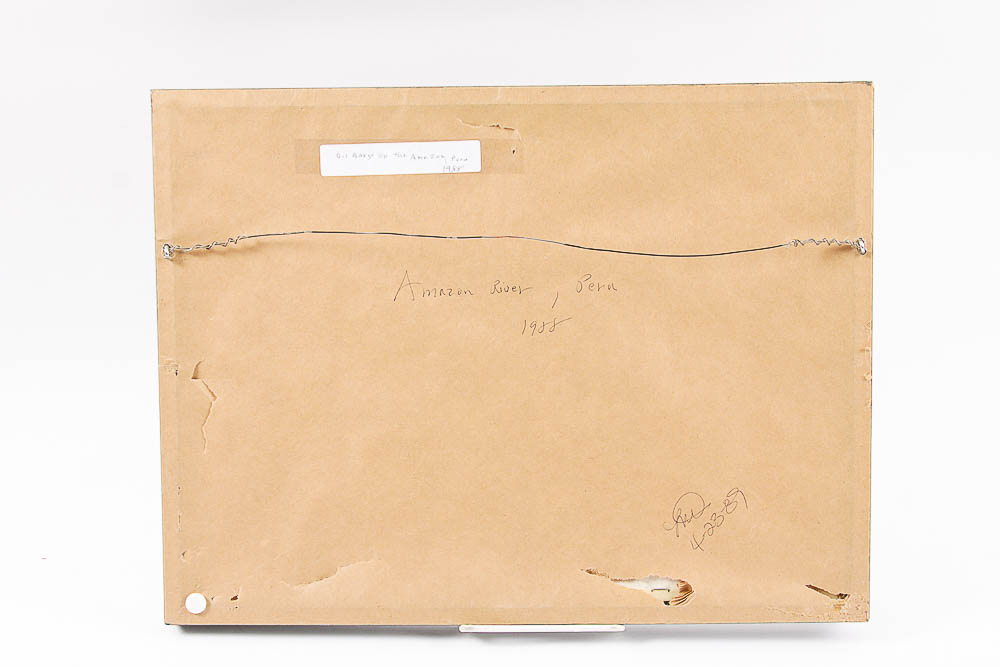 Framed Photograph "Amazon River, Peru" by Dr. David Shander