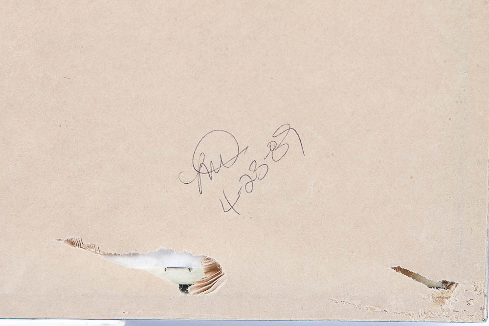 Framed Photograph "Amazon River, Peru" by Dr. David Shander