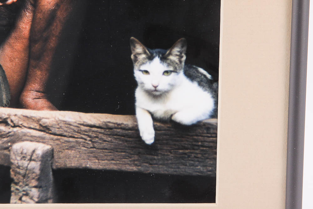 Dr. David Shander Color Photograph "Man & Cat"