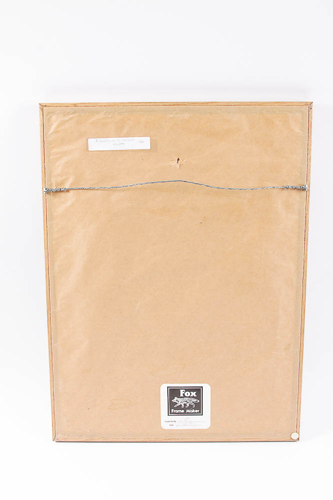 Photograph "A Courtyard in Valeita" by Dr. David Shander