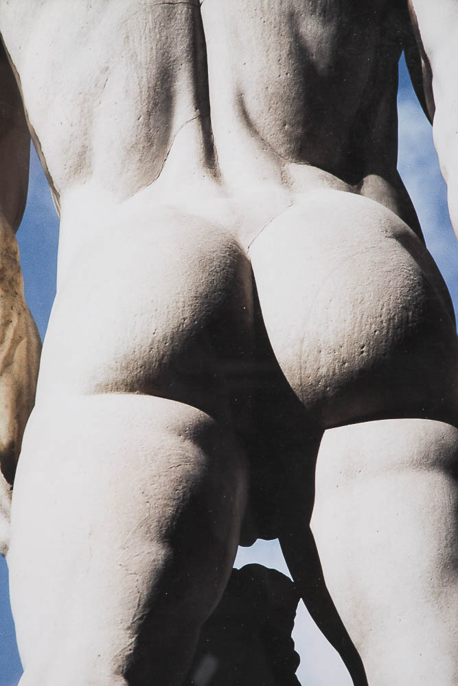 Framed Photograph "Hercules & Cacus" by Dr. David Shander