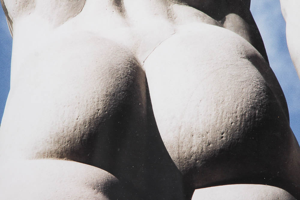 Framed Photograph "Hercules & Cacus" by Dr. David Shander